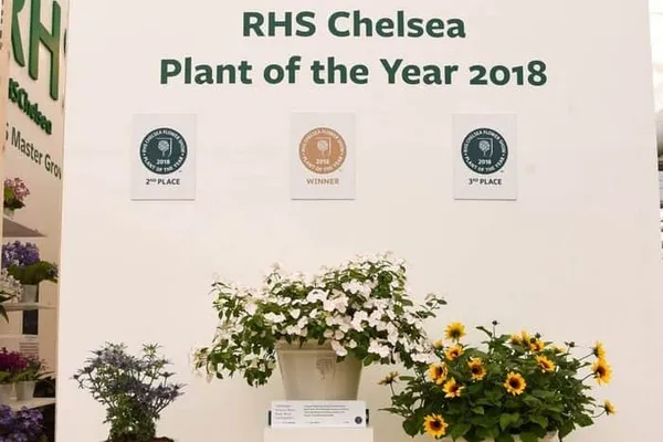 RHS Chelsea Flower Show Plant