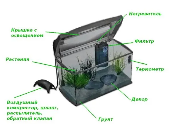 Аквариум травник - природный аквариум с живыми растениями своими руками с полезным фото-видео. Как сделать травник. 3