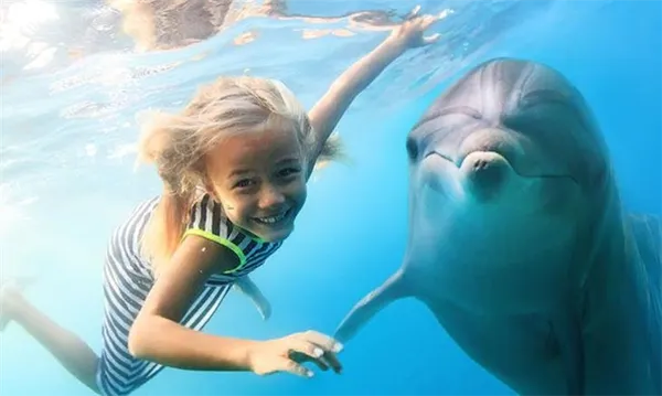 Дельфинарий в Крыму 🐬 и дельфинотерапия. Дельфинарий в крыму. 8