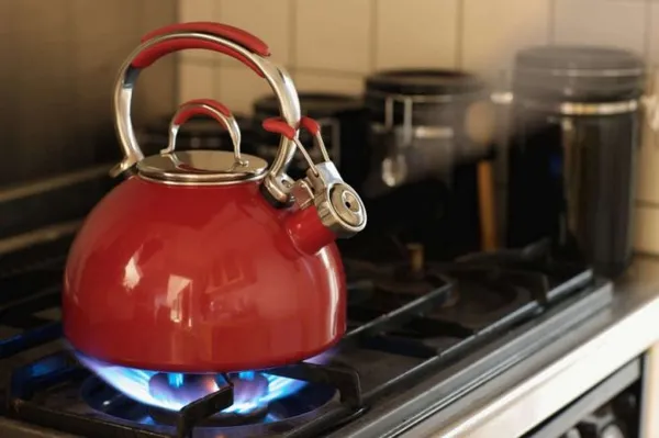 чайник для газовой плиты