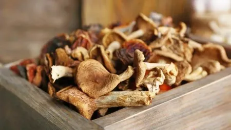 Сколько и как хранить сушеные грибы?