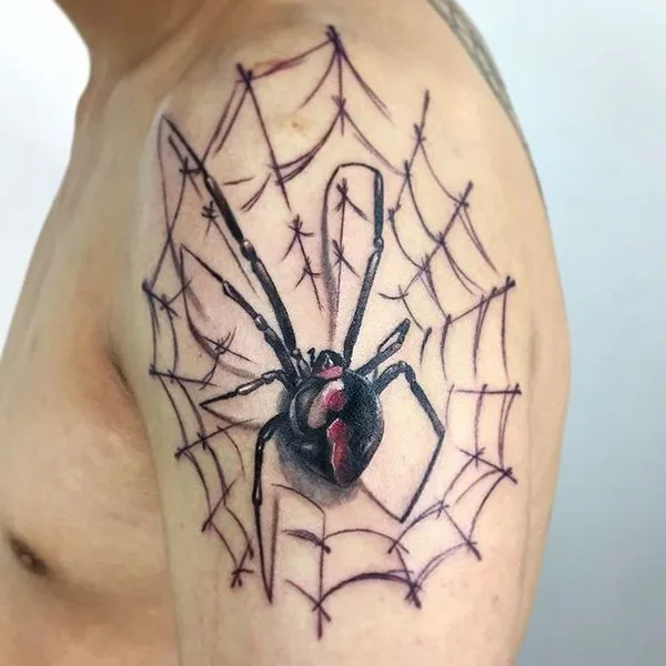 Большой реалистичный паук на паутине