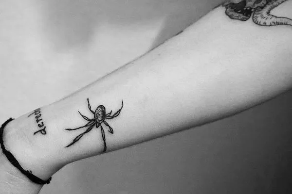 Минималистичный паук на запястье в черных и серых тонах