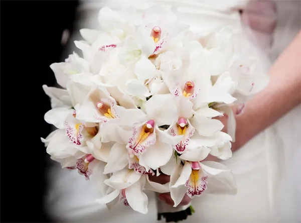 Букет невесты из орхидей белого цвета
