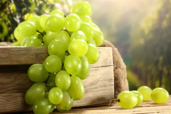 виноград столетие описание сорта
