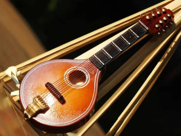 Музыкальный инструмент мандолина