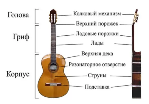 гитара 1