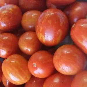 Яркий представитель нового коктейльного вида – томат 
