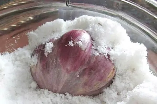 Головка чеснока в соли