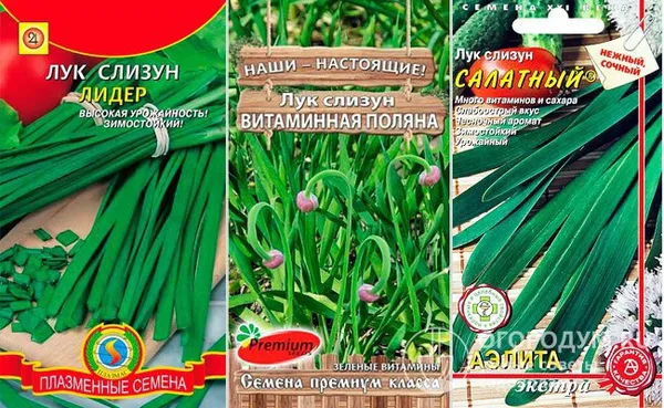 Семена разных сортов лука-слизуна, предлагаемые отечественными агрофирмами-производителями посадочного материала
