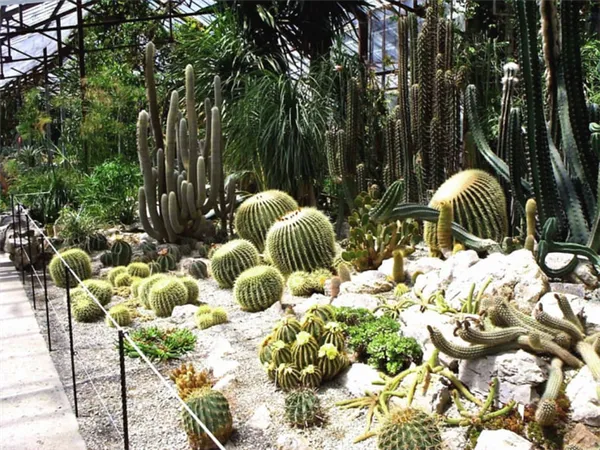 Никитский Ботанический сад Крым где находится