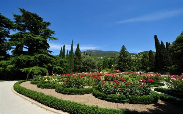 Никитский Ботанический сад фото летом