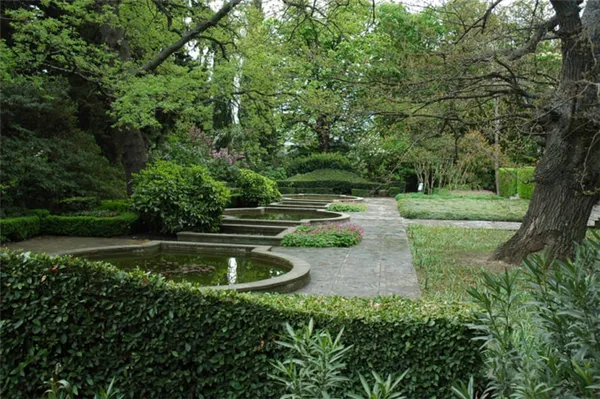 Никитский Ботанический сад фото летом