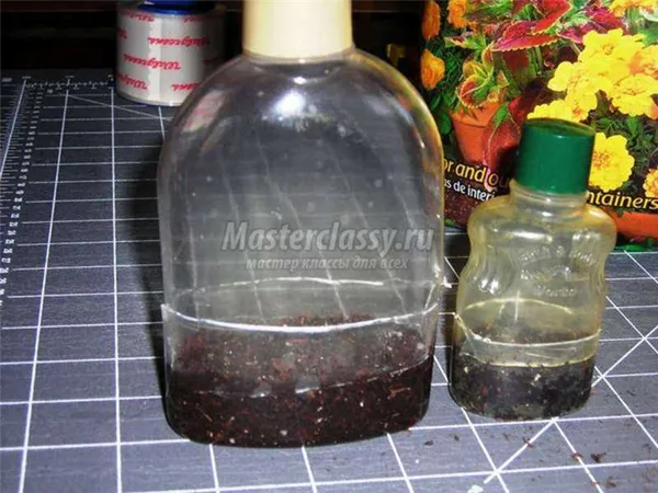 Поделки из пластиковых бутылок для огорода