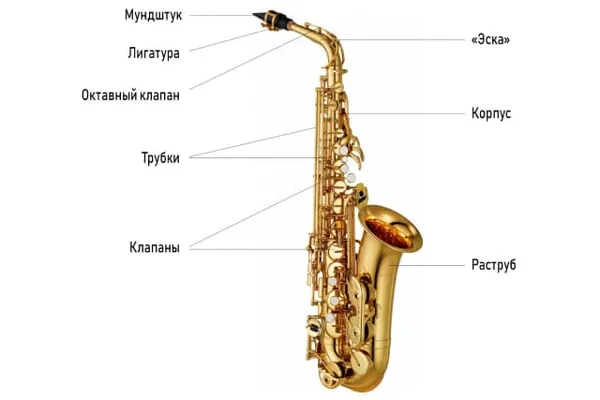 Устройство саксофона