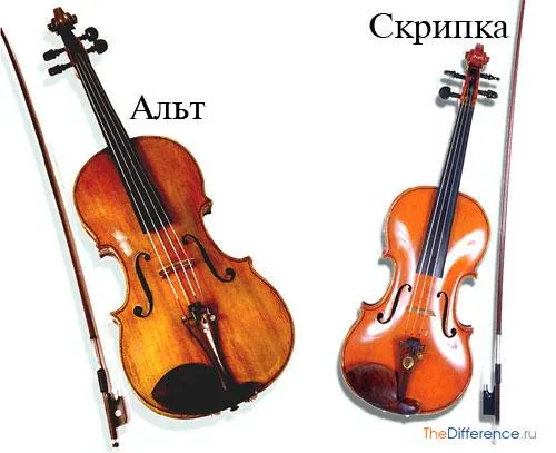 Что такое музыкальный альт и чем он отличается от скрипки, виолончели, контрабанды — про музыкальный инструмент. Что такое альт. 2