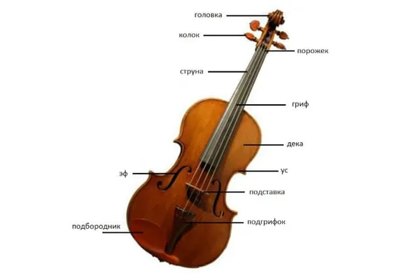 Что такое музыкальный альт и чем он отличается от скрипки, виолончели, контрабанды — про музыкальный инструмент. Что такое альт. 3
