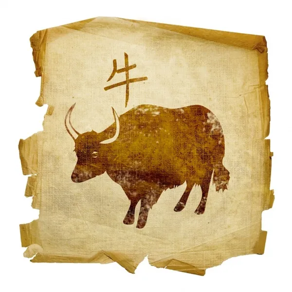 Год Быка: характеристика символа, даты и совместимость год быка какие года. Год быка какие года. 3