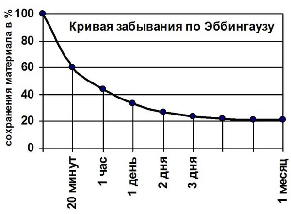 Кривая Эббингауза: методика краткосрочных и долгосрочных повторений. Кривая забывания эббингауза. 9