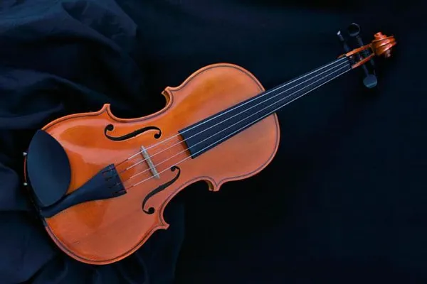 Что такое музыкальный альт и чем он отличается от скрипки, виолончели, контрабанды — про музыкальный инструмент. Что такое альт. 10